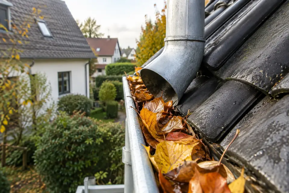 Herbstlaub in einer Regenrinne am Übergang zu einem metallenen Fallrohr